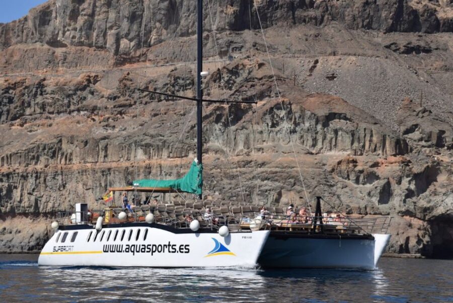 Puerto Rico : 2 hour Dolphin Catamaran Excursion - Comfort, drinks, and the feel on board