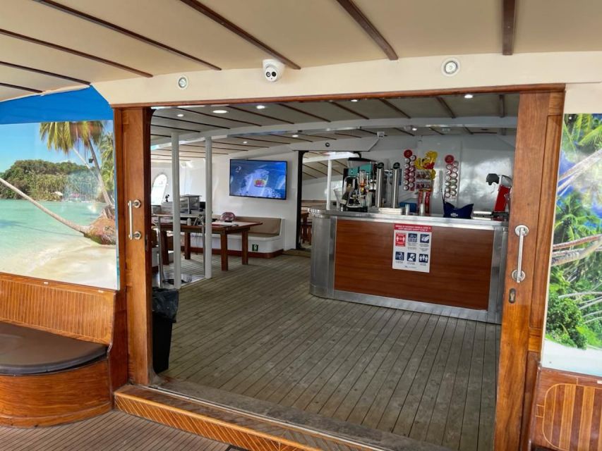 Puerto Rico : 2 hour Dolphin Catamaran Excursion - What $41 buys you