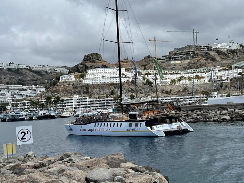 Puerto Rico : 2 hour Dolphin Catamaran Excursion - Who will enjoy this catamaran ride most