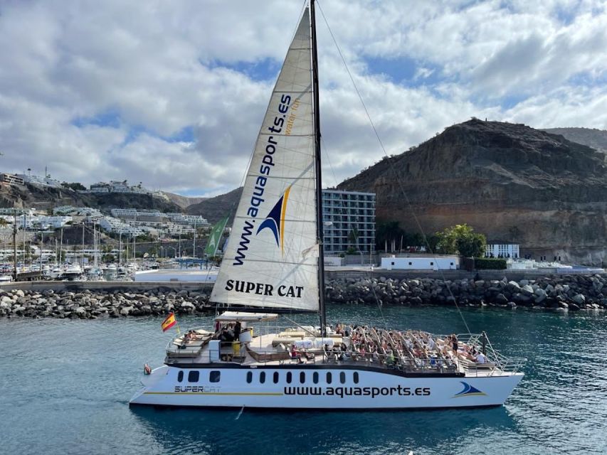 Puerto Rico : 2 hour Dolphin Catamaran Excursion - Booking, cancellation, and language details