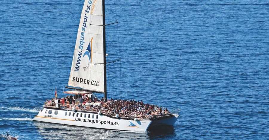 Puerto Rico : 2 hour Dolphin Catamaran Excursion - Two hours of open Atlantic watching