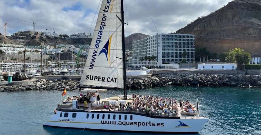 Puerto Rico de Gran Canaria: Premium Dolphin Catamaran Tour - Key points at a glance