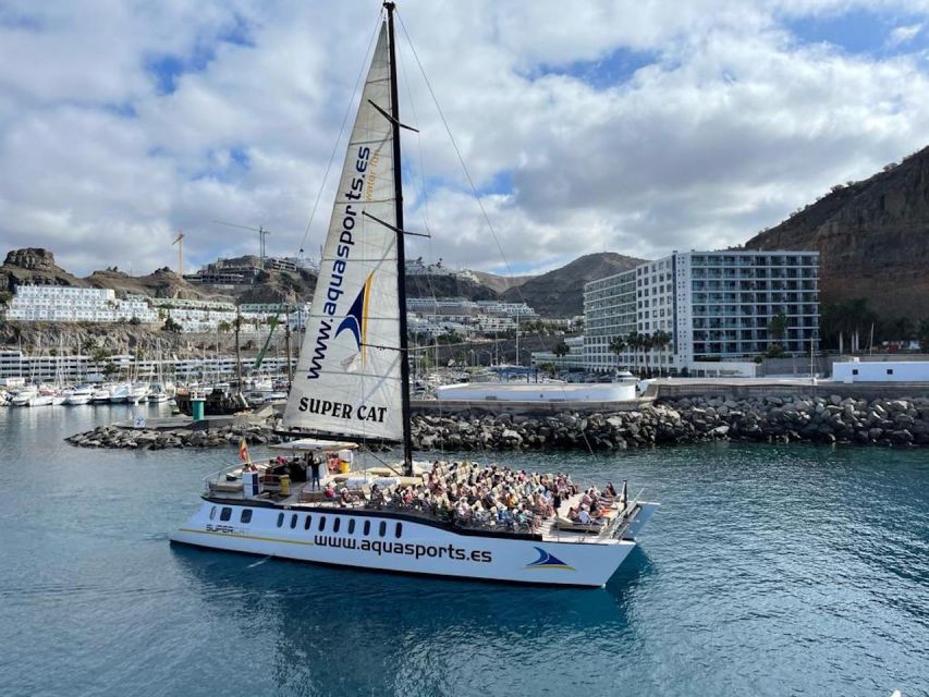 Puerto Rico de Gran Canaria: Premium Dolphin Catamaran Tour - What the $75 price really covers