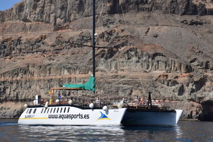 Puerto Rico de Gran Canaria: Premium Dolphin Catamaran Tour - My final take: should you book it?