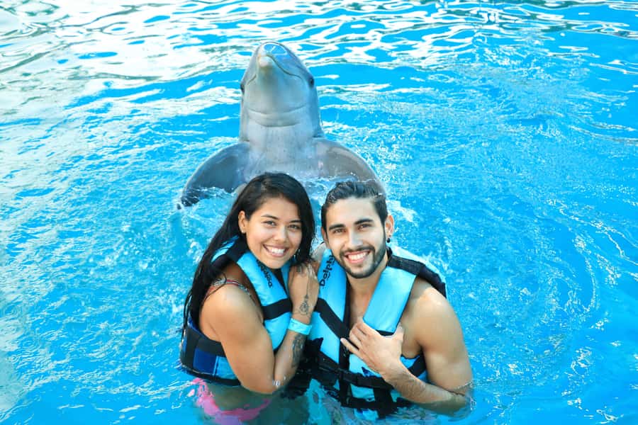 Puerto Vallarta: Dolphin Swimming and Aquaventuras Park - The included meal and drink