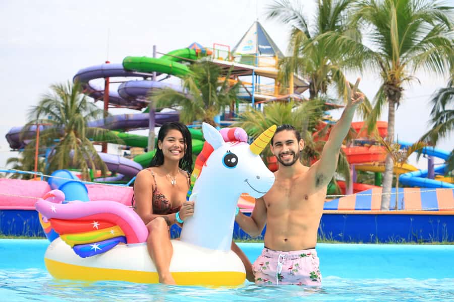 Puerto Vallarta: Dolphin Swimming and Aquaventuras Park - The photo issue you should understand