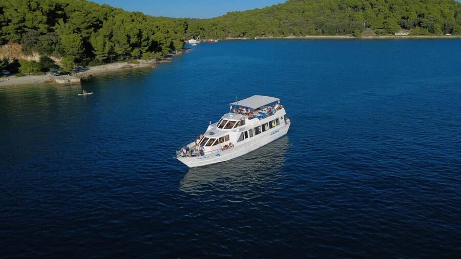 Pula: Brijuni Dolphins Sunset Cruise with Dinner and Drinks - Dolphin watching near dusk