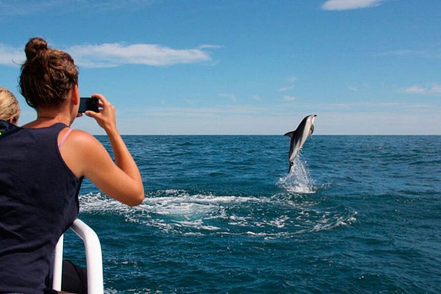 Pula: Brijuni Islands Dolphin Watching & Wildlife Cruise - At a glance