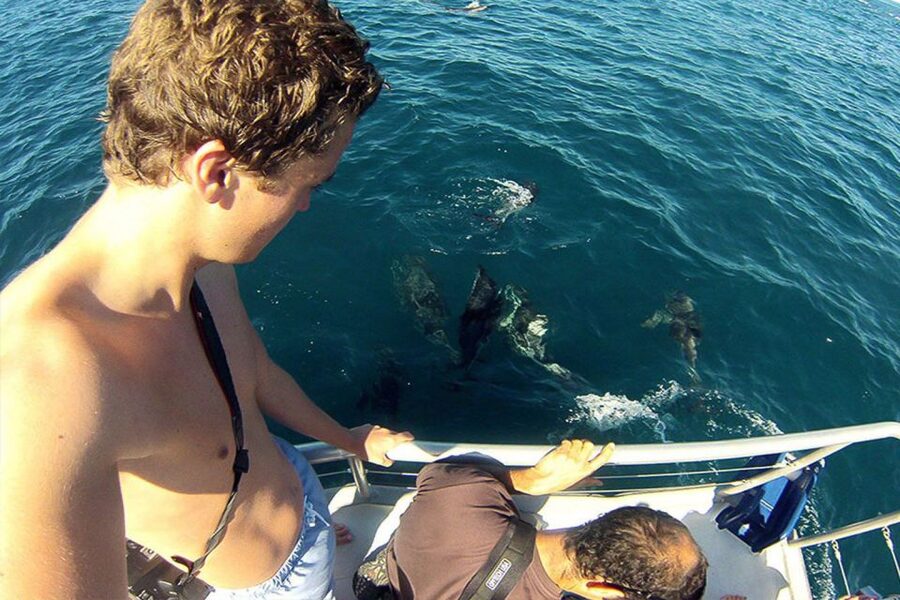 Pula: Brijuni Islands Dolphin Watching & Wildlife Cruise - Practical details before you go