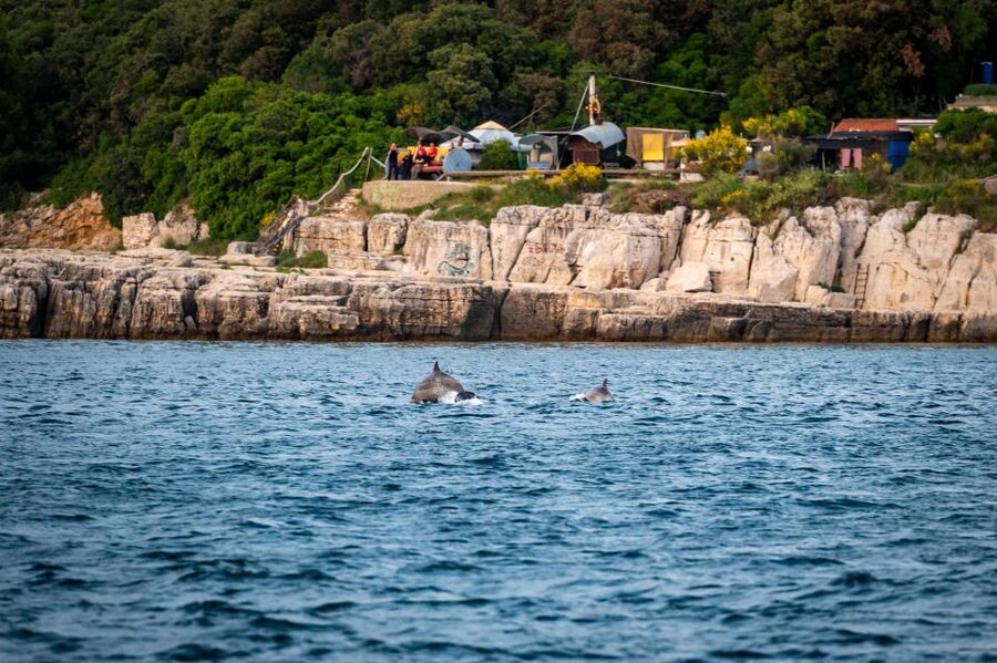 Pula: Brijuni National Park Sunset, Dolphins & Dinner Cruise - Leaving Pula Harbor by Wooden Boat