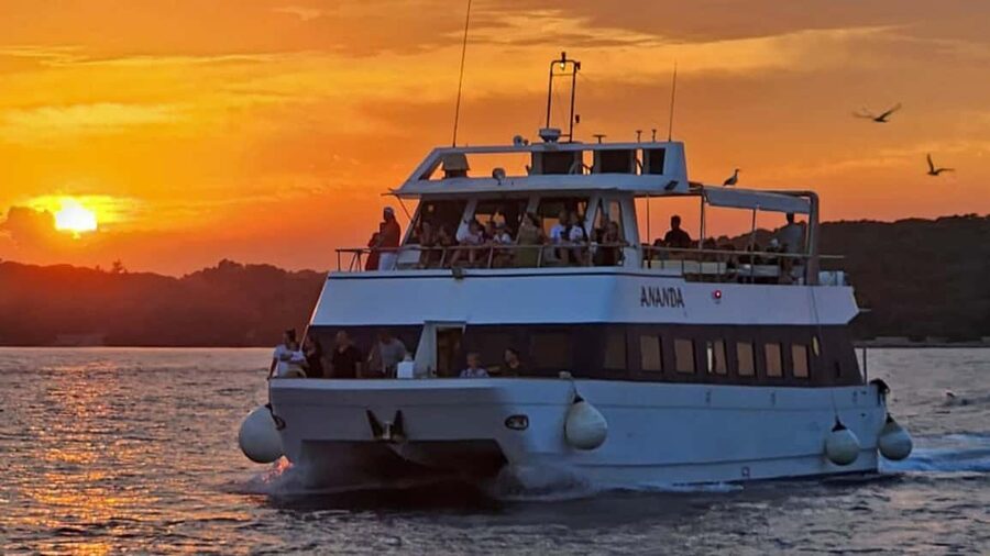 Pula: Dolphin Sunset Cruise to Brijuni with Dinner & Drinks - Five things to know before sailing