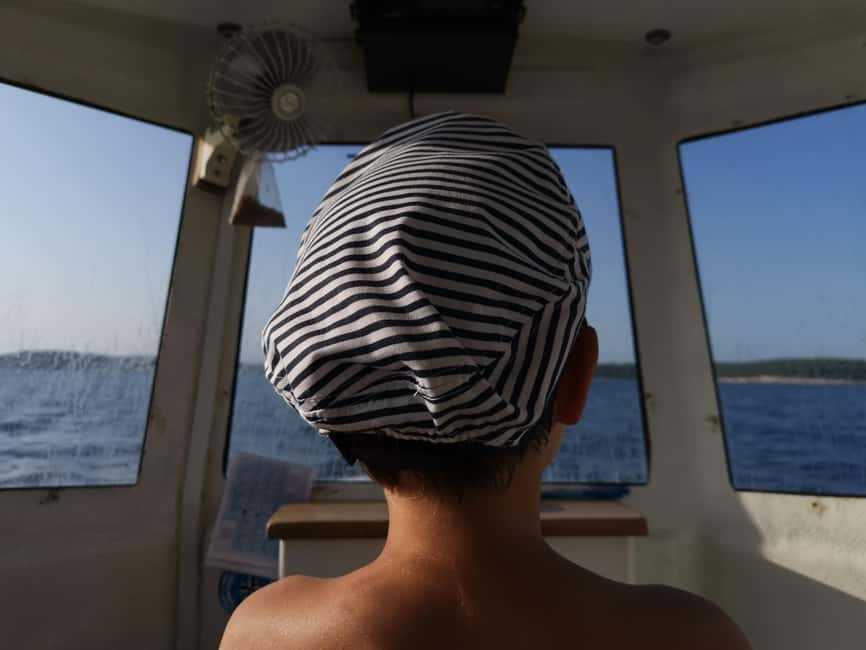 Pula Dolphin Watching Boat Trip - What a dolphin encounter can look like