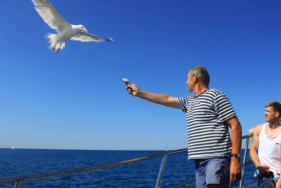 Pula: Dolphin Watching Sunset Cruise with Dinner & Drinks - Dinner Choices and Unlimited Drinks on Board