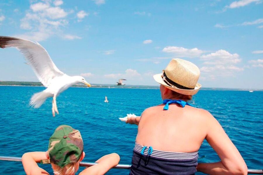 Pula: National Park Brijuni Island Visit & Dolphin Cruise - Who Will Enjoy This Trip Most?
