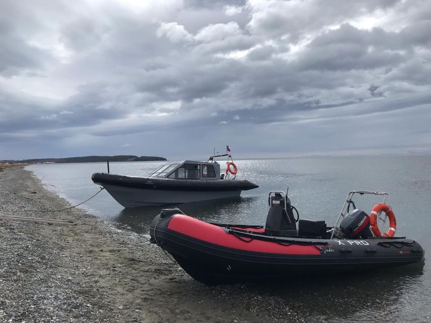 Punta Arenas: Dolphin & Wildlife Watching - Is $190 a fair price?