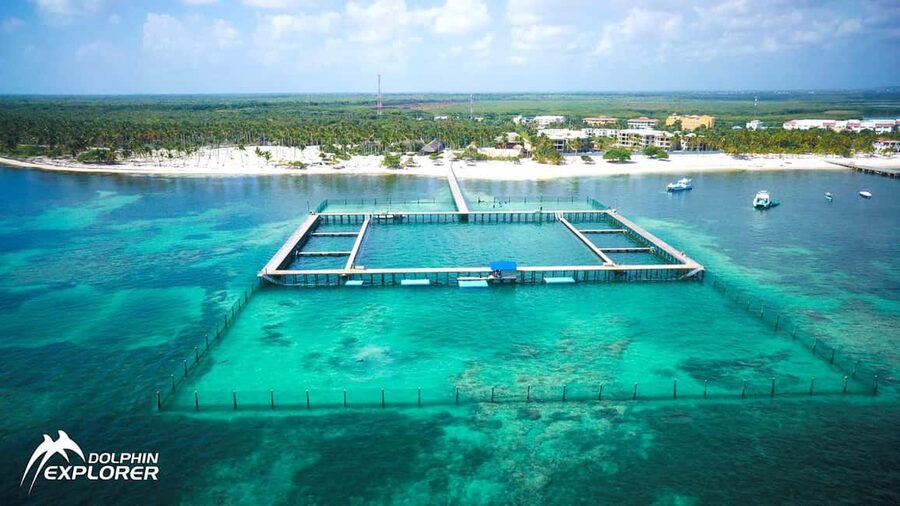 Punta Cana Dolphin Adventure: 40-Minute Interaction - Key Details Before You Book