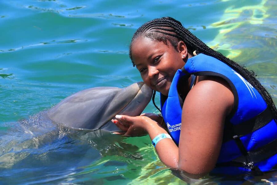 Punta Cana Dolphin Adventure: 40-Minute Interaction - What the Four-Hour Punta Cana Schedule Really Means
