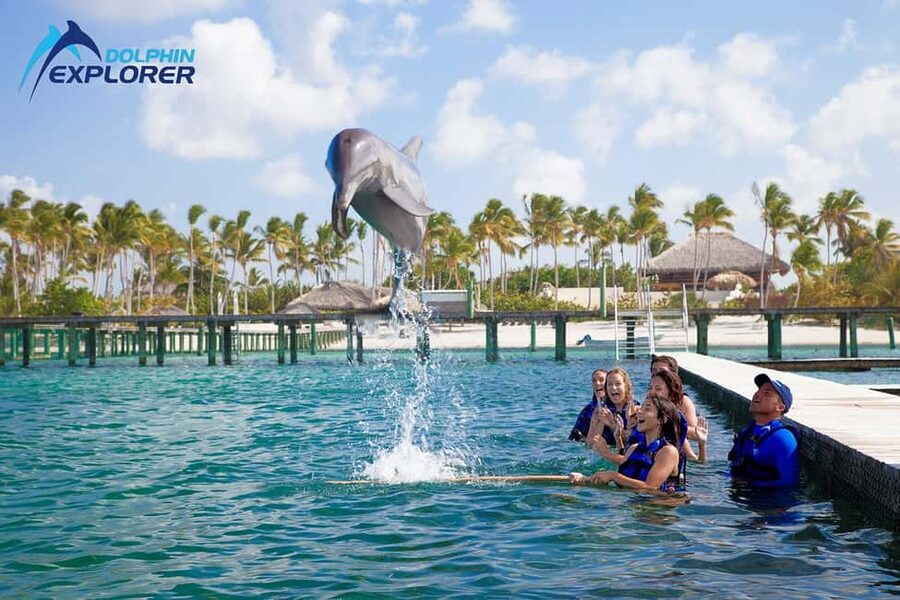 Punta Cana Dolphin Adventure: 40-Minute Interaction - The 40-Minute Dolphin Interaction