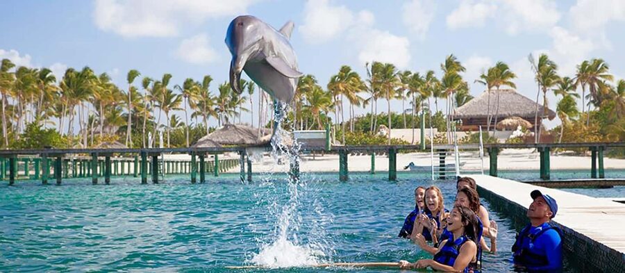 Punta Cana Dolphin Adventure: 40-Minute Interaction - Swimming Ability, Health, and Comfort