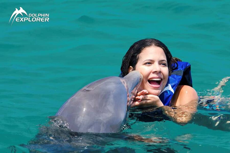 Punta Cana Dolphin Adventure: 40-Minute Interaction - Is $167 Per Person a Fair Price?