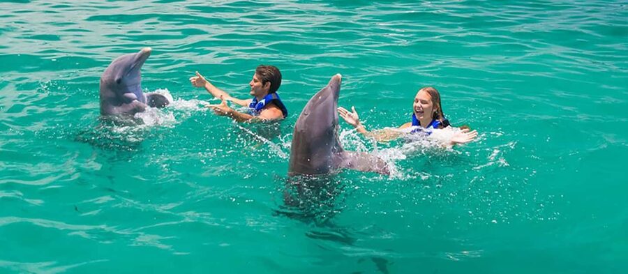 Punta Cana Dolphin Adventure: 40-Minute Interaction - What Makes This Experience Special