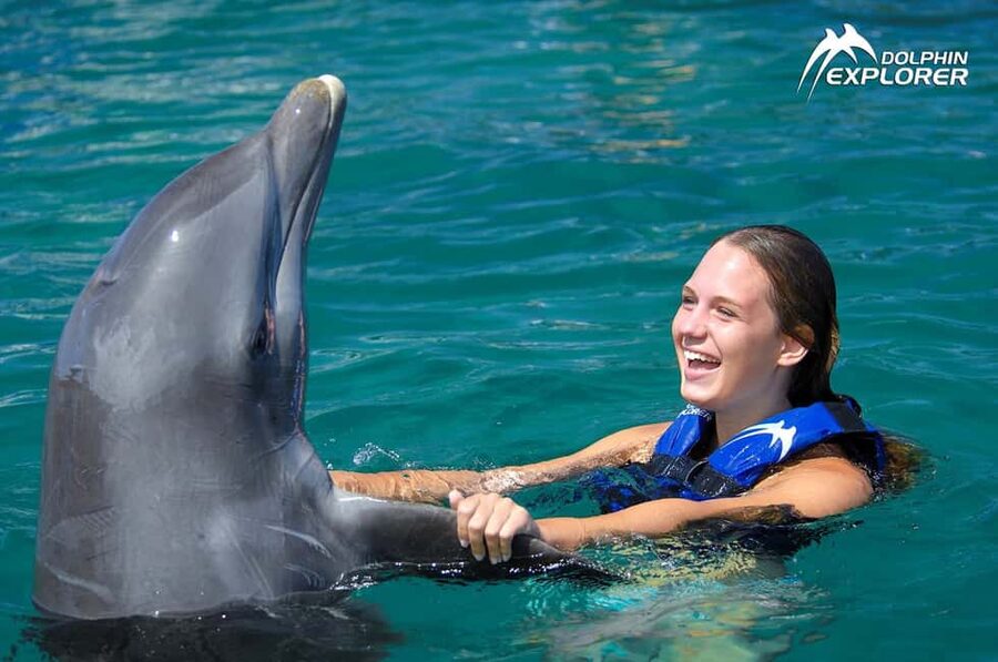 Punta Cana Dolphin Adventure: 40-Minute Interaction - The Main Drawbacks to Consider