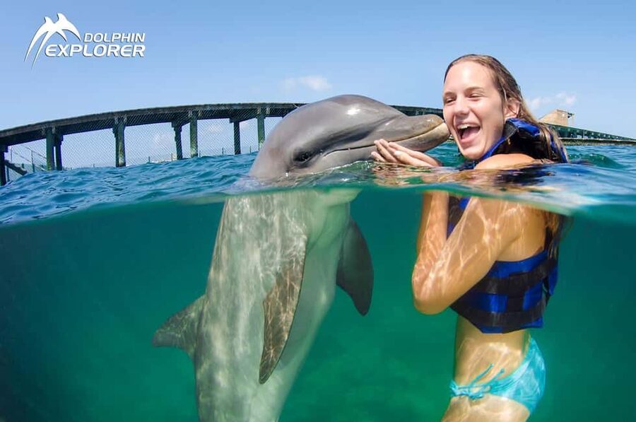 Punta Cana Dolphin Adventure: 40-Minute Interaction - Arriving at Dolphin Explorer