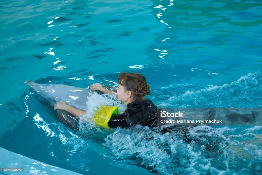 Punta Cana: Dolphin Explorer Park Entry, Swim, or Encounter - The ethical question you should consider