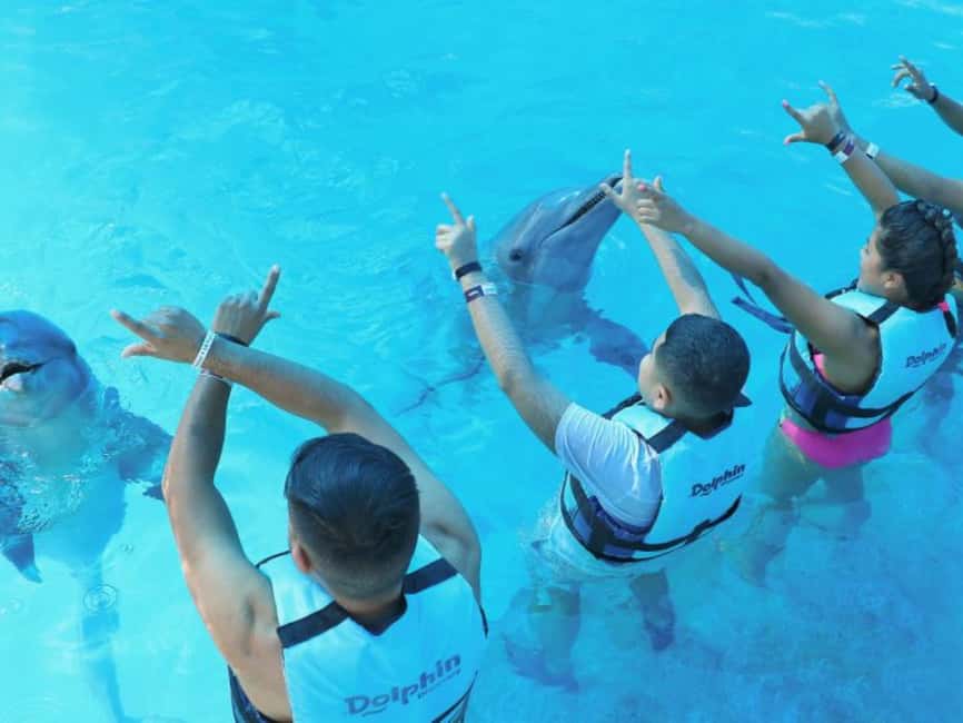 Punta Cana: Dolphin Explorer Park Entry, Swim, or Encounter - Choosing the right dolphin program
