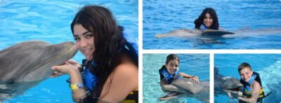 Dolphin Explorer Park Entry, Swim, or Encounter