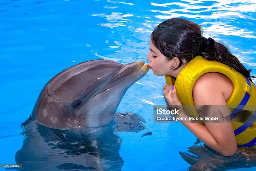 Punta Cana: Dolphin Explorer Park Entry, Swim, or Encounter - Sea lions, birds, and Pirate Island