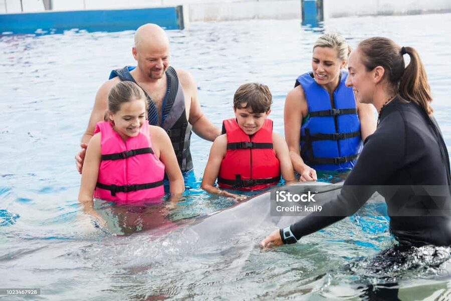 Punta Cana: Dolphin Explorer Park Entry, Swim, or Encounter - Getting there from Punta Cana or Bávaro