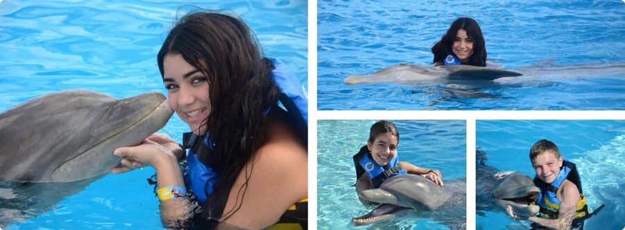 Punta Cana: Dolphin Explorer Park Entry, Swim, or Encounter - What the one-hour session feels like