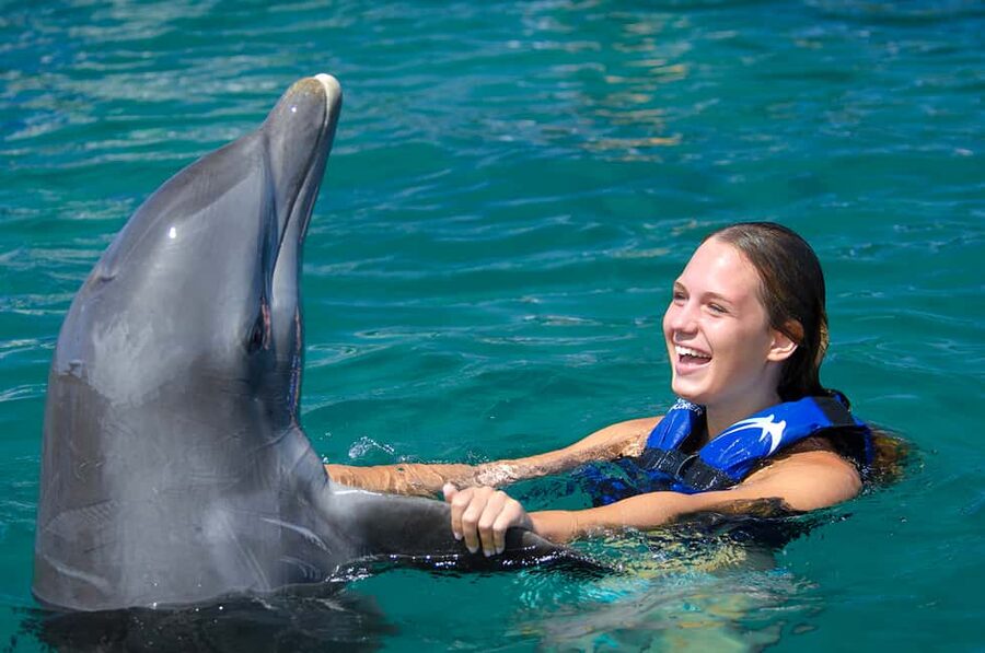 Punta Cana: Dolphin Explorer Swims and Interactions - The dolphins, the trainer, and the conservation message