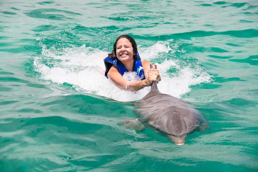 Punta Cana: Dolphin Explorer Swims and Interactions - Photos, extra costs, and the real value of $120
