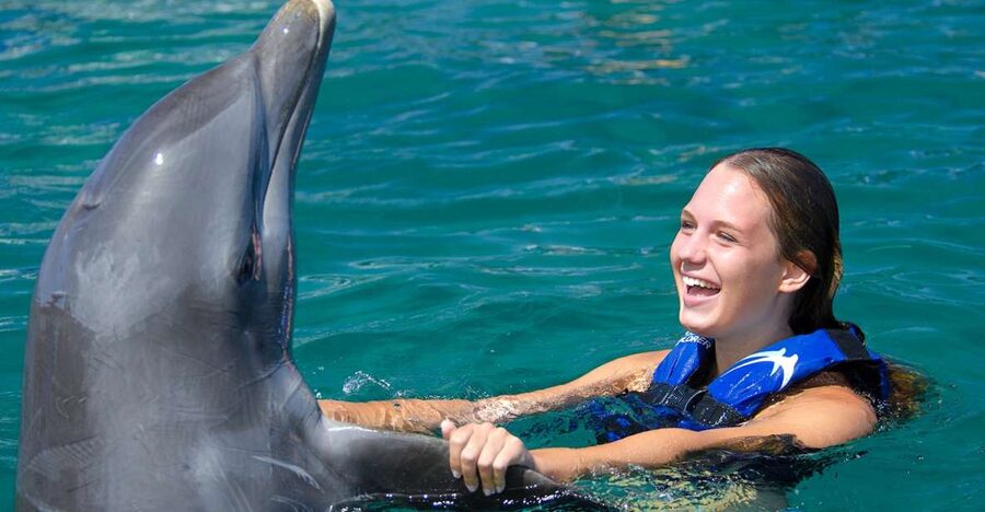 Punta Cana: Dolphin Explorer Swims and Interactions - FAQ