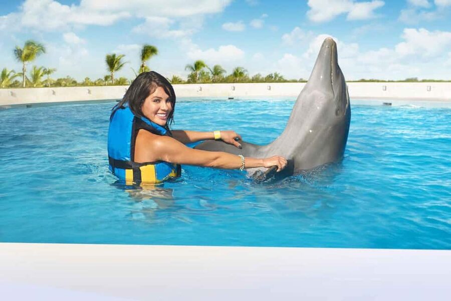 Punta Cana: Dolphin Interaction Experience & Hotel Transfers - Hotel pickup and the road to the dolphin park