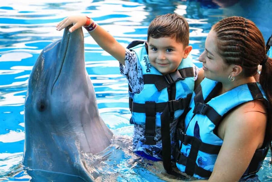 Punta Cana: Dolphin Interaction Experience & Hotel Transfers - What the dolphin session feels like