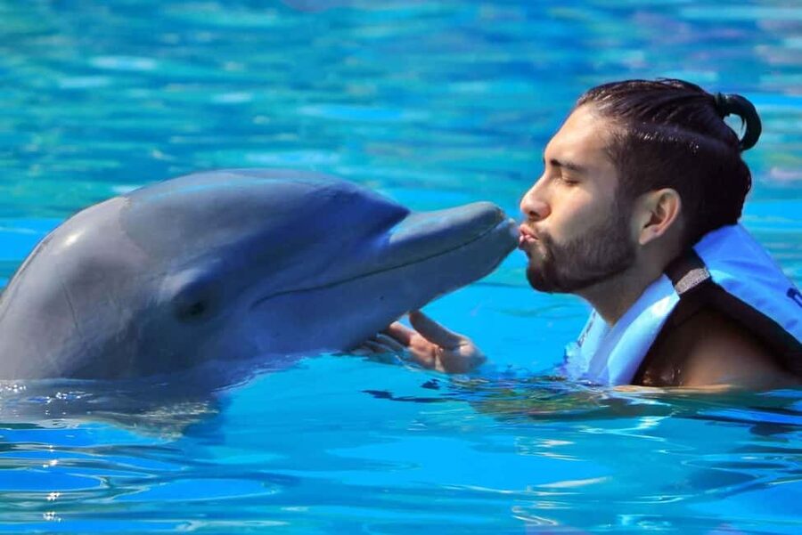 Punta Cana: Dolphin Interaction Experience & Hotel Transfers - Who will enjoy this most?