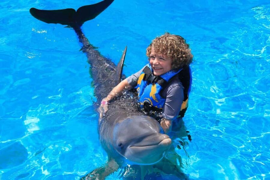 Punta Cana: Dolphin Interaction Experience & Hotel Transfers - Choosing one of three dolphin encounters