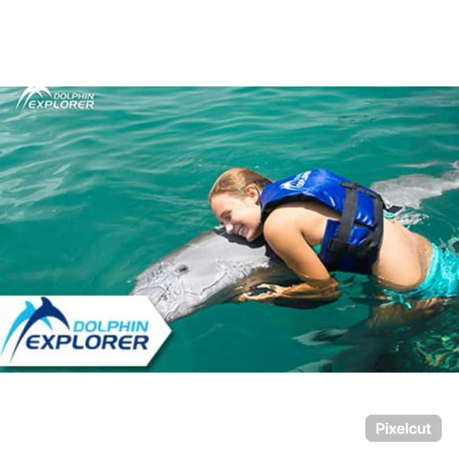 Punta Cana: Dolphin Park Entry and Swim with Dolphins - Five things to know before you book