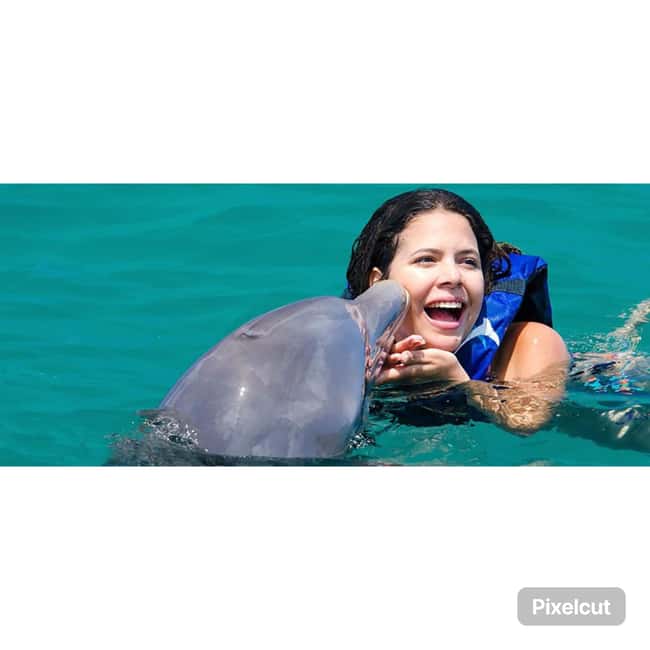 Punta Cana: Dolphin Park Entry and Swim with Dolphins - What the one-hour Punta Cana program includes