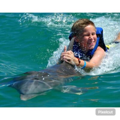 Dolphin Park Entry and Swim with Dolphins
