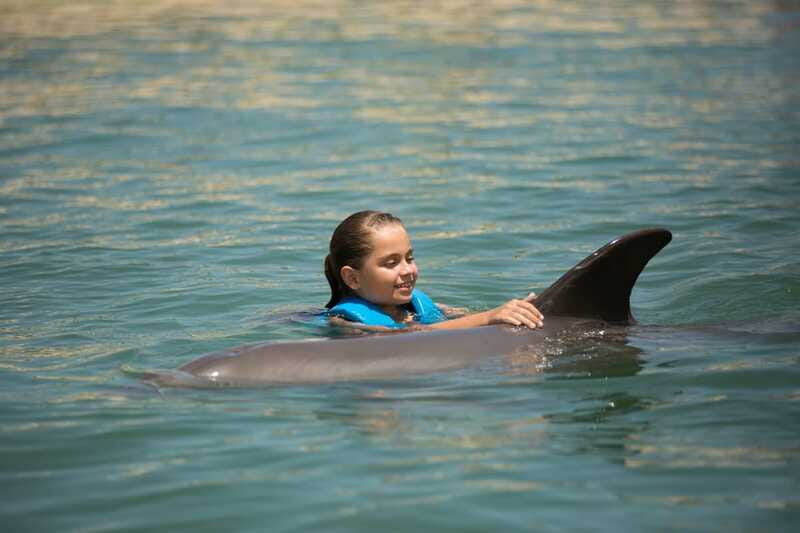 Punta Cancun: Swim with dolphins Interax - The camera rule changes how you prepare
