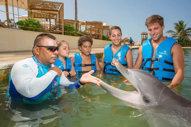 Punta Cancun: Swim with dolphins Interax - Is $138 a fair price?