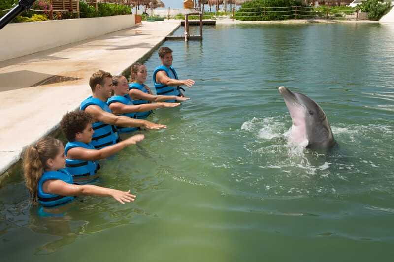 Punta Cancun: Swim with dolphins Interax - Group size and the value of personal attention