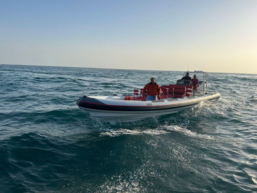 Quarteira: Algarve Coast, Caves and Dolphin Watching Cruise - How the $51 price measures up