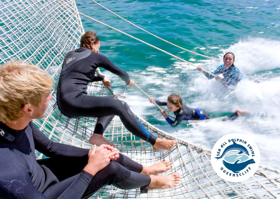 Queenscliff Harbour: 3.5hr Seal & Dolphin Snorkelling Tour - Practical preparation for the water