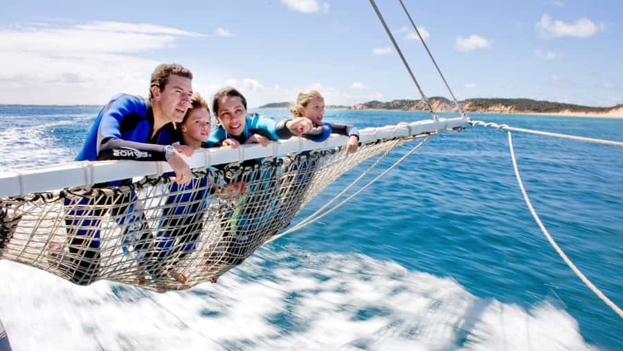 Queenscliff Harbour: 3.5hr Seal & Dolphin Snorkelling Tour - Popes Eye: a gentle first snorkel