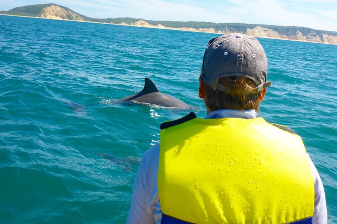 Rainbow Beach: Dolphin & Wildlife Ocean Kayak & Beach 4WD Tour - Key points at a glance
